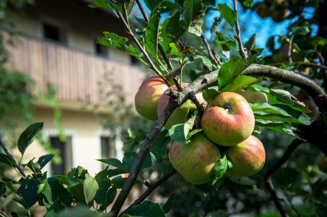 Willa Pr'Jernejc Agroturism Lesce  Zewnętrze zdjęcie